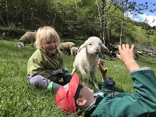 Kinder spielen mit kleinem Lamm