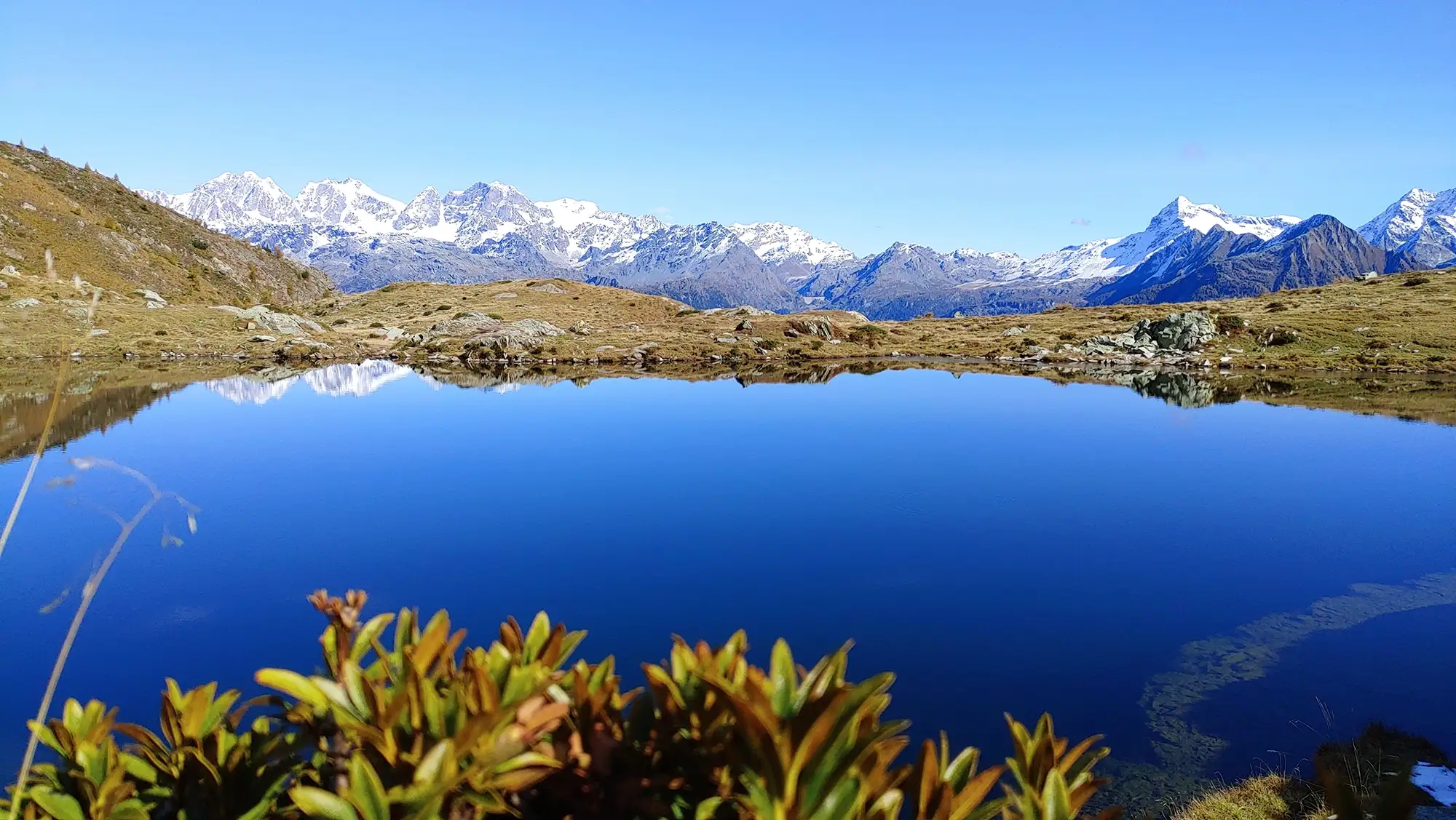 vista alpi, laghetto di montagna