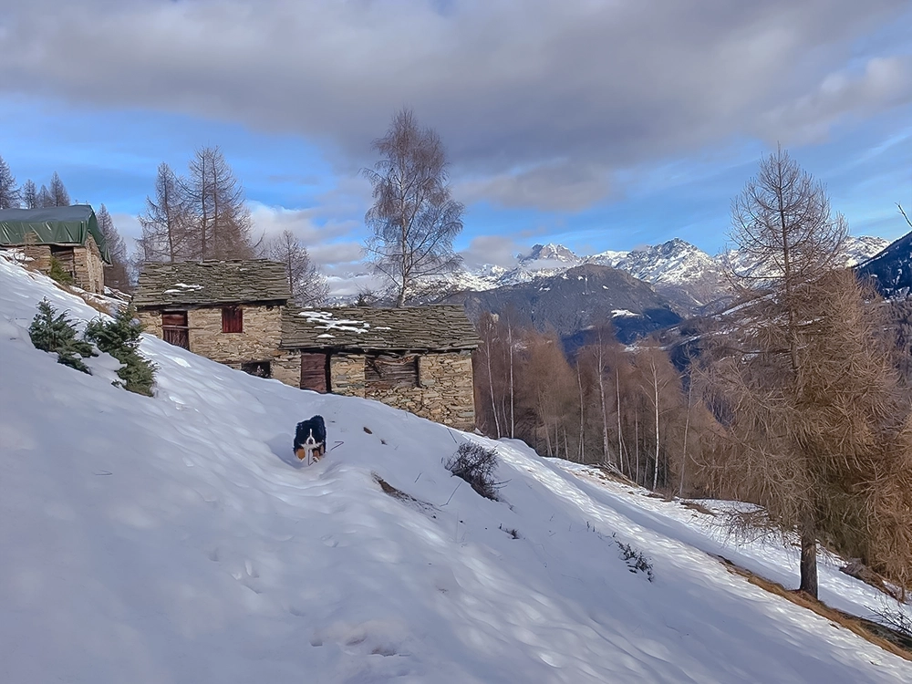 path with snow